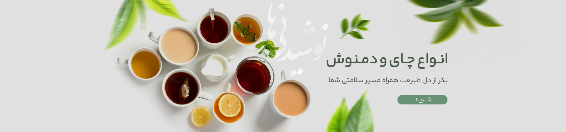 خدمات  اينترنتي